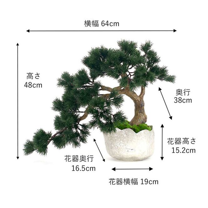 BONSAI  2L26-b TUTGA-81400
