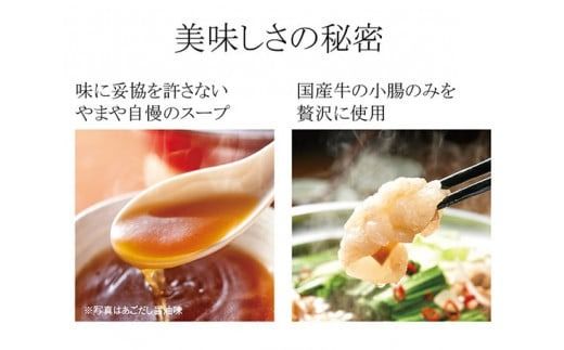 もつ鍋 博多もつ鍋やまや もつ鍋セット あごだし醤油味 3～4人前 ちゃんぽん麺 薬味付 [やまやコミュニケーションズ 福岡県 宇美町 um40azo860005] もつ鍋セット モツ鍋 国産 牛もつ 牛モツ 牛ホルモン