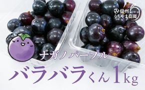 【先行受付】数量限定 訳あり ナガノパープル（バラバラくん）約1kg《信州うちやま農園》■2025年発送■※8月中旬頃～10月中旬頃まで順次発送予定