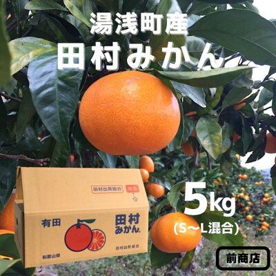 BL6013n_【産地直送】【2026年先行予約】和歌山 湯浅町産 田村みかん 5kg S～Lサイズ混合