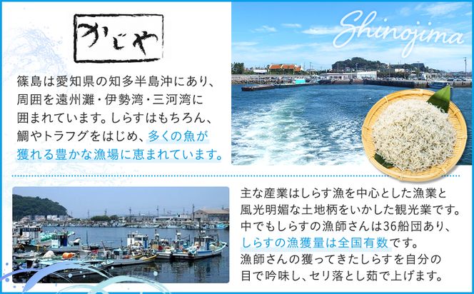 篠島産しらす干し1kg