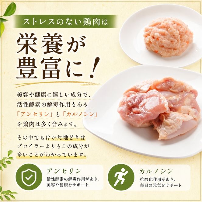 水炊き セット 3～4人前 福岡 限定！はかた地どり 鶏 肉 とり肉 鳥肉 鶏肉 鍋 なべ スープ付き ポン酢 コラーゲン 地鶏 冷凍 贈答品 送料無料 配送不可：離島