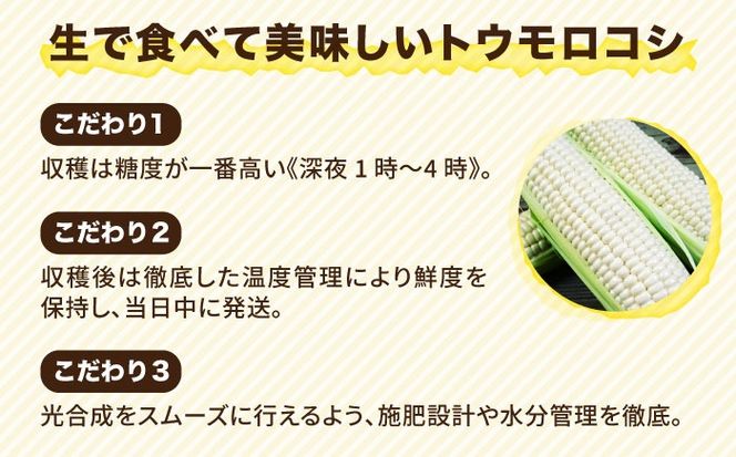 【先行予約】 糸島 トウモロコシ 『もきっこ』 白 （ 10本前後） 【2026年6月下旬以降順次発送】《糸島》 【内田農業】 [AZH002] とうもろこし 野菜 コーン スイートコーン BBQ バーベキュー