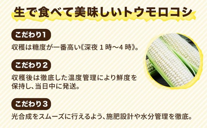 【先行予約】 糸島 トウモロコシ 『もきっこ』 白 （10本前後 ）【2025年6月下旬以降順次発送】 《糸島》 【内田農業】 [AZH002]