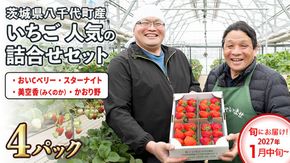【 先行予約 2027年1月中旬以降発送 】 数量限定 農家直送 ♪ 八千代町産 いちご ボリュームパック （ 4パック ） 人気 の 詰め合わせ セット イチゴ 苺 季節限定 茨城県 フルーツ 果物 食べ比べ セット [AJ002ya]