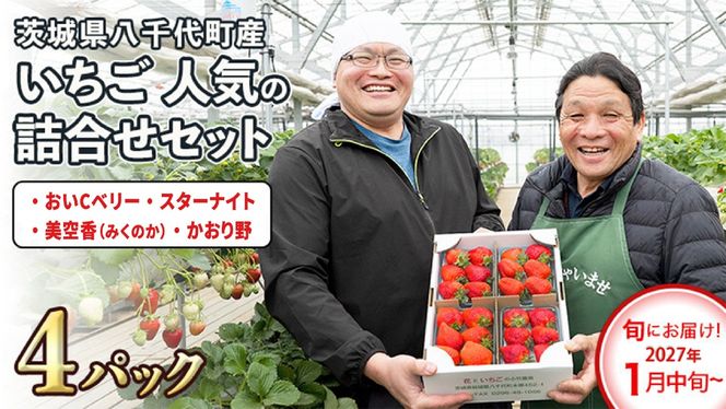 【 先行予約 2027年1月中旬以降発送 】 数量限定 農家直送 ♪ 八千代町産 いちご ボリュームパック （ 4パック ） 人気 の 詰め合わせ セット イチゴ 苺 季節限定 茨城県 フルーツ 果物 食べ比べ セット [AJ002ya]