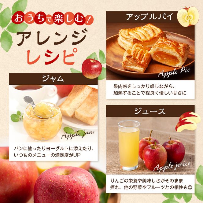 【2026年11月下旬～発送予定】 先行予約 サンふじりんご 秀品 約5kg 12～20玉入 長野県産 果物類 林檎 りんご リンゴ フルーツ 小諸市