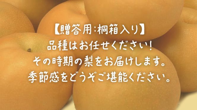  【桐箱入り】梨 約3kg (6～8玉) 【2026年8月上旬発送開始】(茨城県共通返礼品：大子町) なし 果物 くだもの フルーツ おまかせ 旬