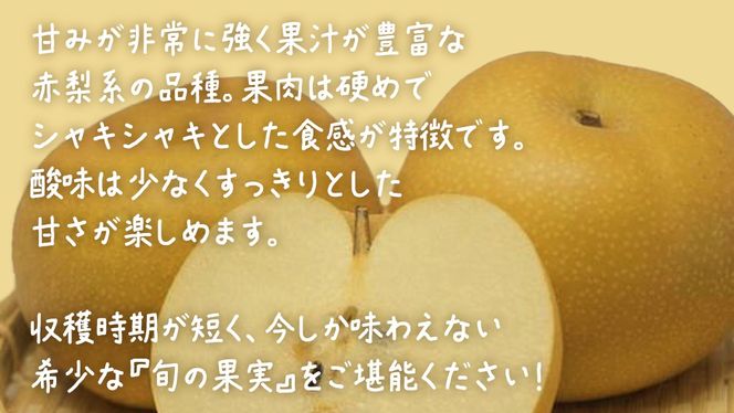 《 選べる 内容量 》《 お中元 熨斗付き 》 幸水 約5kg / 約10kg 【2026年8月上旬発送開始】(茨城県共通返礼品：大子町) 梨 なし 果物 くだもの フルーツ