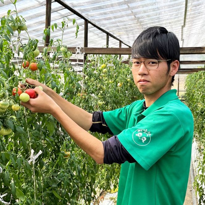【先行予約】糖度9度以上 フルーツトマト しんちゃんトマト 約750g (小 - 大玉サイズ 10 - 20個) 〈2027年2月〜発送〉/ トマト 高糖度 高知県産 ふるーつとまと 甘い 美味しい お取り寄せ