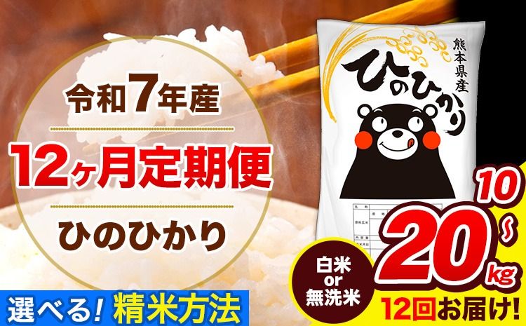 令和7年産 ひのひかり[12ヶ月定期便]選べる精米方法 白米 or 無洗米 5kg10kg 15kg 20kg 計12回お届け [お申込み翌月から出荷] 熊本県産 白米 無洗米 精米 ひの 米 こめ お米 熊本県 長洲町---hn7tei_120000_5kg_mo12_ng_h---