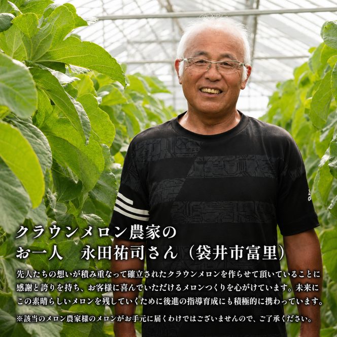 クラウンメロン【並（白等級）】特大玉（1.5kg前後）3玉入り 人気 厳選 ギフト 贈り物 デザート グルメ 果物 袋井市 果物類 メロン青肉 フルーツ