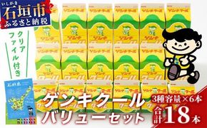 【ふるさと納税限定】ゲンキクールバリューセット【八重山ゲンキ乳業】【石垣島のソウルドリンク ゲンキクール】GN-001