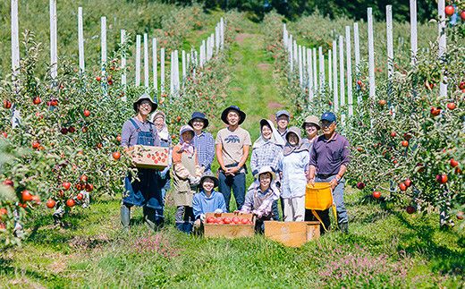 岩手県花巻市滝田産　宇津宮果樹園の林檎屋果汁りんごジュース30缶セット【ジョナゴールド】 【635-2】