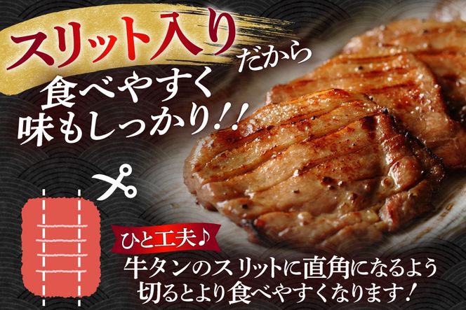 定期便 6回 牛タン 厚切り牛タン 希少部位 国産 塩味 500g 3〜4人前 [佐藤精肉店 宮城県 気仙沼市 20566236] 牛タン 肉 牛肉 精肉 牛たん 牛タン塩 牛たん塩 冷凍 焼肉 牛タン BBQ 牛たん アウトドア バーベキュー 厚切り タン 牛たん ふるさと納税 ふるさと 返礼品