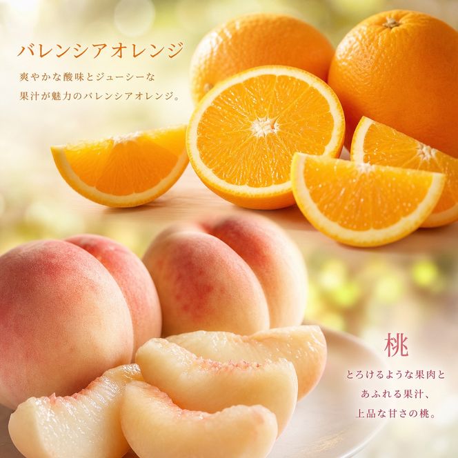 【7・8・10・11月 全4回】紀州和歌山産旬のフルーツセット（バレンシア・桃・ひらたねなし柿・富有柿）【UT81】 303446_XF91144