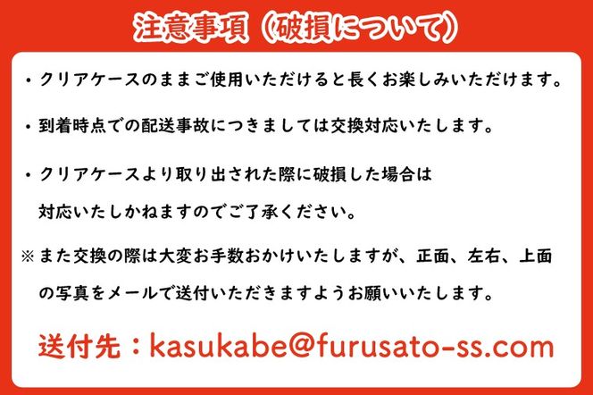  シュガーパイン プリザーブドフラワーアレンジ（ルクール/ピンク）【埼玉県 春日部市 洋蘭 ギフト 記念品 お祝い 長期鑑賞】（AJ073-2）