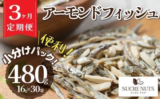 【3回定期便】手軽に健康習慣 小分けのこざかなアーモンド カシューナッツ入り 480g(16gｘ30袋) おうち時間 おやつ 大満足 美容 健康 栄養豊富 人気 高リピート ナッツ H059-185