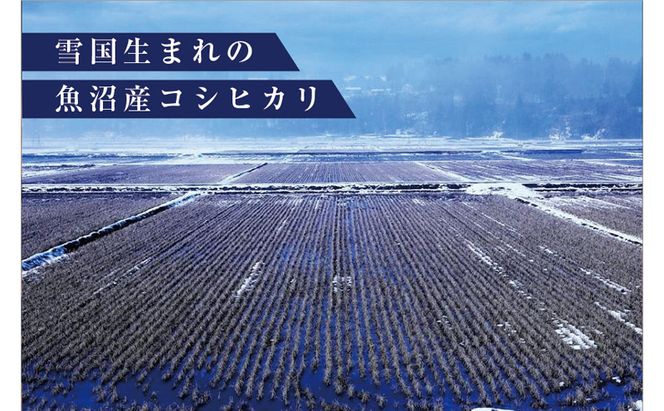 令和8年産米 先行予約 新米 極上魚沼産コシヒカリ 令和8年産米 3kg(1kg×3) 無洗米【先行受付10月下旬～順次発送】 ゆきまち米