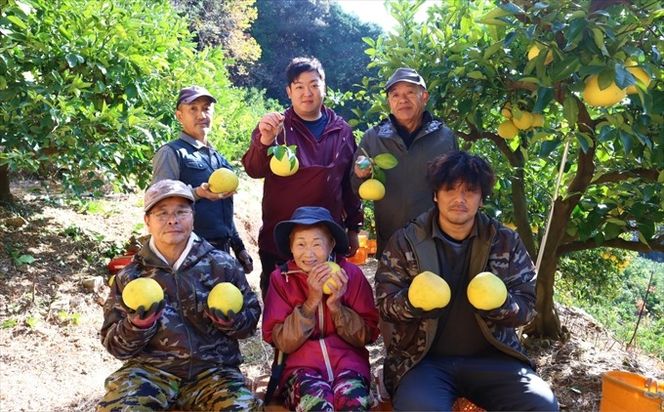 香る！さっぱり！岡林さんの土佐文旦　贈答用5kg