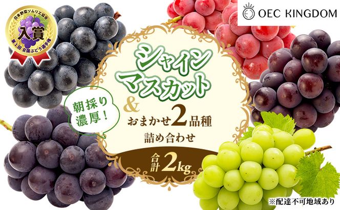 ぶどう 2026年 先行予約 シャインマスカット と おまかせ 2品種 詰め合わせ 合計2kg ブドウ 葡萄 岡山県産 国産 フルーツ 果物 ギフト OEC KINGDOM ぶどう家 果物類