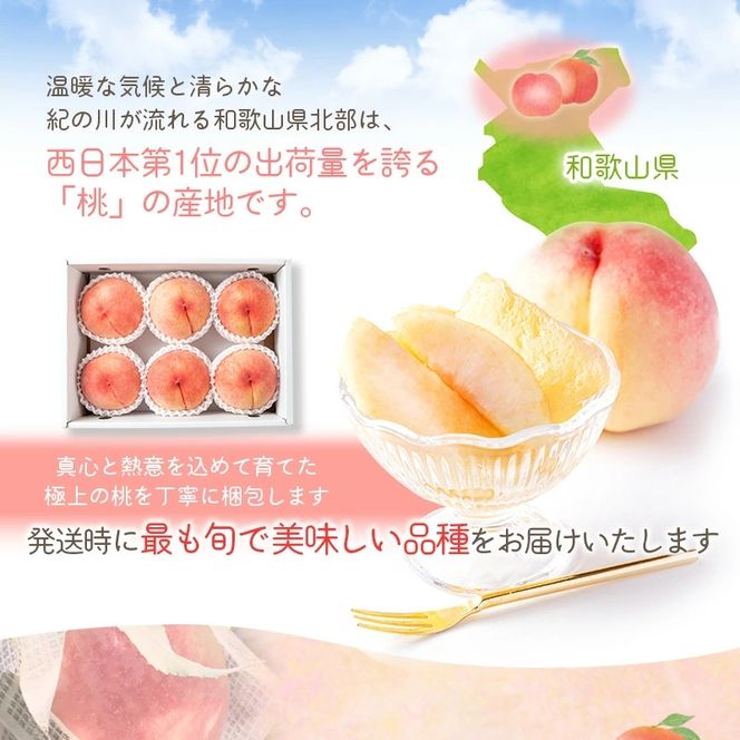  【先行予約受付】和歌山県産の美味しい 桃 約3.6kg(11～15玉)  /もも 果物 フルーツ 和歌山県 ※6月中旬～8月上旬頃順次発送予定 ※離島への配送不可  【mat501-r-3d6】