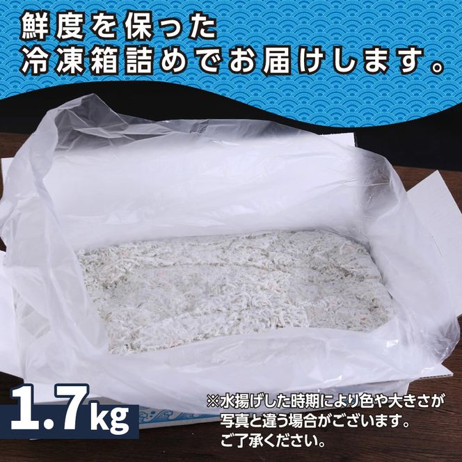 【CF-R7hbk】MMK006　訳あり釜揚げシラス1.7kg 高知県産 釜揚げしらす 簡易梱包 わけあり 不揃い シラス 国産 釜揚げ 新鮮 しらす丼 海鮮丼 お茶漬け 冷凍配送 塩分控えめ お取り寄せ