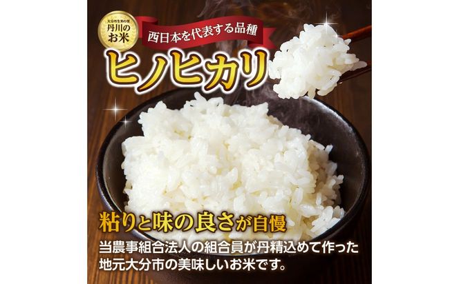 【T10031】【定期便】丹生米の里 丹川のお米 ヒノヒカリ白米 10kg×6回お届け定期便