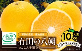 ZE6155n_有田の八朔 (はっさく) 10kg  (2L～4Lサイズ混合)　まごころ手選別