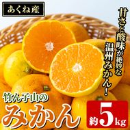 ＜先行予約受付中！2026年11月上旬以降順次発送予定＞数量限定！竹ん子山のみかん(約5kg) 国産 鹿児島県産 阿久根産 ミカン 蜜柑 みかん 柑橘 果物 フルーツ 温州みかん 果実 期間限定 【竹ん子山】akn097-03
