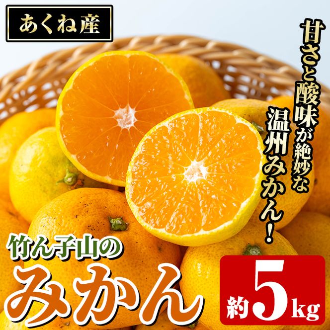 ＜先行予約受付中！2026年11月上旬以降順次発送予定＞数量限定！竹ん子山のみかん(約5kg) 国産 鹿児島県産 阿久根産 ミカン 蜜柑 みかん 柑橘 果物 フルーツ 温州みかん 果実 期間限定 【竹ん子山】akn097-03