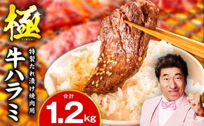 mrz0269-1 牛肉 ハラミ 1.2kg 小分け 300g×4P【氷温熟成×特製ダレ 味付き 牛肉 訳あり 不揃い 焼肉 BBQ 野菜炒め 圧倒的企業努力】