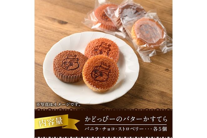 かどっぴーのバターかすてら3種セット(合計15個・バニラ、チョコ、ストロベリー各5個)バターカステラ 食べ比べ お茶請け お茶菓子 手土産 おやつ スイーツ 洋菓子 お菓子 焼菓子 贈答用 ギフト 個包装 ゆるキャラ 宮崎県 門川町【H-1】【松月堂】