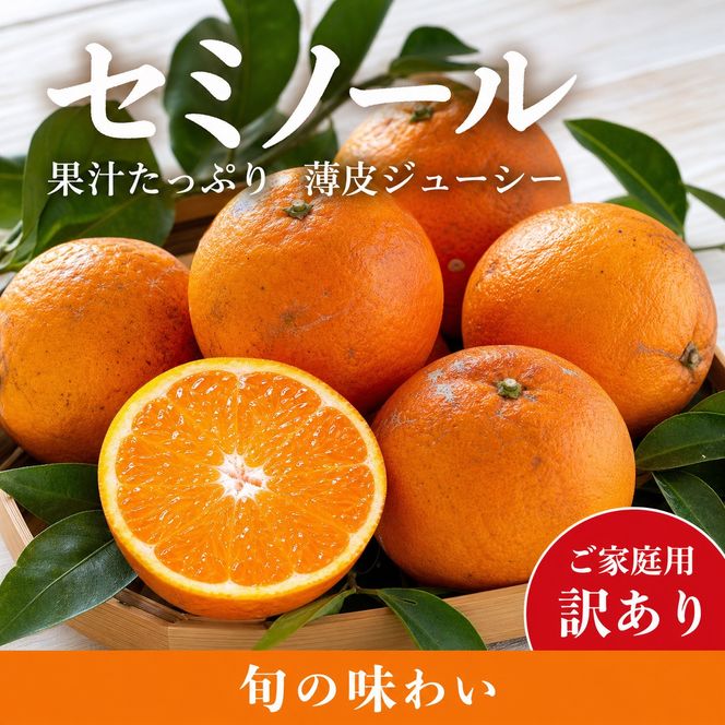 ［先行予約］［ご家庭用訳あり］ジューシー柑橘 セミノールオレンジ 5kg［UT150］ 303446_XF91193