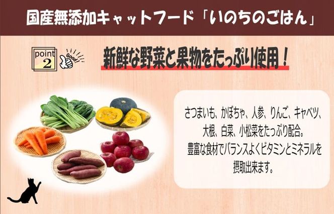 099Z638 【定期便】国産無添加 キャットフード 1kg×全6回 「いのちのごはん」タンパク質 50％配合タイプ【猫 ねこ ペットフード チキン 手作り ヒューマングレード 国産】