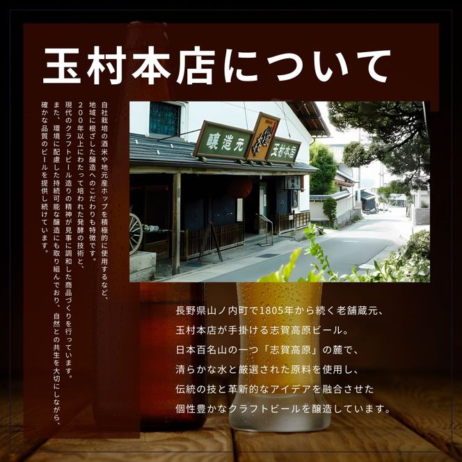 定期便 3ヶ月 志賀高原ビール6本セット 【 クラフトビール 志賀高原ビール 飲み比べセット 玉村本店 ビール 詰め合わせ セット 地ビール 飲み比べ 黒ビール ipa ペールエール 酒 お酒 長野県 長野 定期 お楽しみ 3回 】 