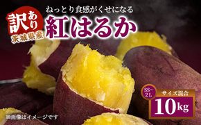 【訳あり】生芋10kg　SSサイズ～2Lサイズ（サイズバラ）　※離島への配送不可