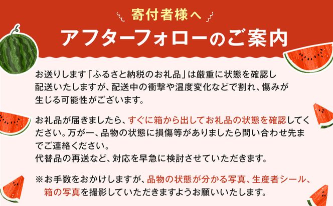 1118.旬の味覚を2度楽しめる、特別な鳥取スイカセット（こちらの返礼品は、大栄西瓜ではありません） 313726_CK004