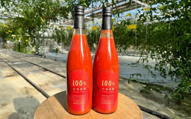 【先行予約】　 100％ トマトジュース 720ml×2本 トマト ジュース 健康 愛西市／株式会社石原農園[AEBG002]