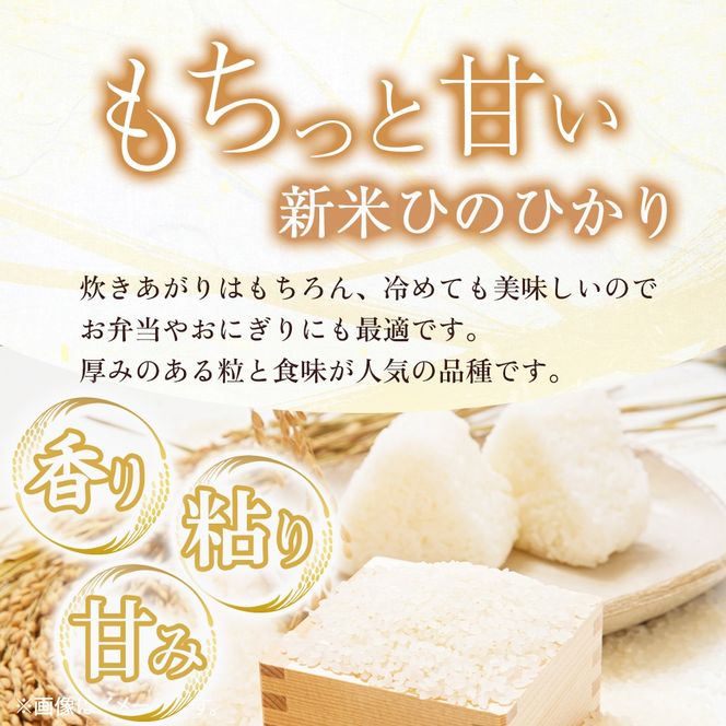 【定期便 全3回】令和7年産米 ヒノヒカリ 5kg×3回 計15kg（お米 米 新米 ヒノヒカリ 国産 人気 お弁当 宮崎県 小林市）