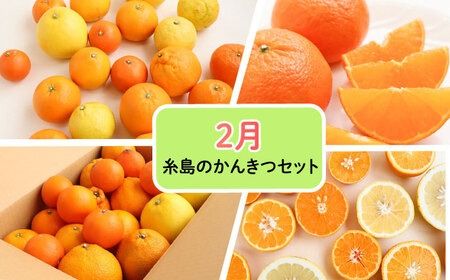 【全5回】糸島厳選くだもの定期便 約2人前 フルーツ 果物 糸島市 / やますえ あまおう シャインマスカット 桃 ライチ [AKA072]