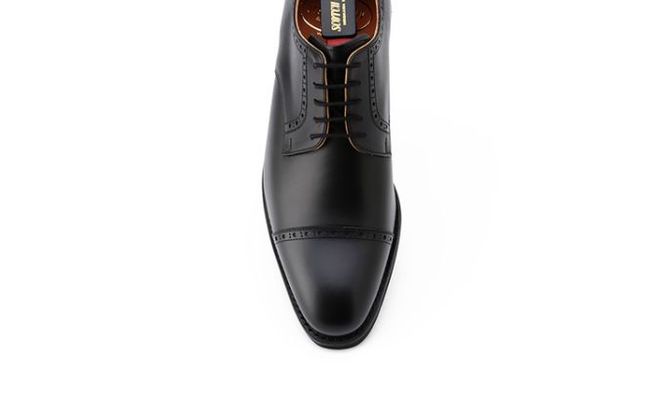 スコッチグレイン 紳士靴 「シャインオアレインIV」 NO.2773 メンズ 靴 シューズ ビジネス ビジネスシューズ ファッション 仕事用 パーティー フォーマル 