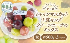【来年（2026年/令和8年）発送＜先行予約＞】【ご家庭用つぶつぶ】ぶどう3種　約1.5㎏　先行予約 先行 予約 山梨県産 産地直送 フルーツ 果物 くだもの ぶどう ブドウ 葡萄 シャイン シャインマスカット 新鮮 人気 おすすめ 国産 山梨 甲斐市 AV-39