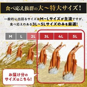 殻付き 本ずわいがに 肩脚 2kg 年末年始 お歳暮 正月 ギフト 2025