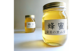 はちみつ 国産 安芸の里山蜜 500ｇ×2本セット 天然 純粋 百花蜜 無添加 非加熱 生 ギフト プレゼント 贈り物 お歳暮 お中元 健康 美容 レシピ 料理 紅茶 ヨーグルト パン ドレッシング 安芸市 高知県