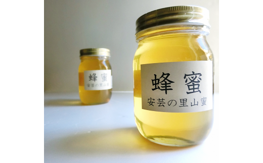 はちみつ 国産 安芸の里山蜜 500ｇ×2本セット 天然 純粋 百花蜜 無添加 非加熱 生 ギフト プレゼント 贈り物 お歳暮 お中元 健康 美容 レシピ 料理 紅茶 ヨーグルト パン ドレッシング 安芸市 高知県