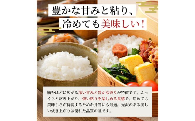 松屋フーズ 最高級 魚沼産コシヒカリ 2kg