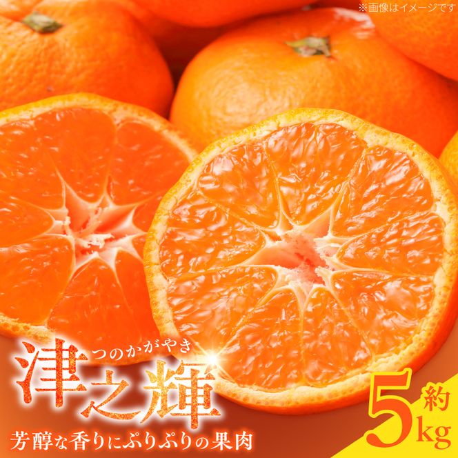 G7057_【2027年先行予約】和歌山産 津之輝 (つのかがやき) 5kg