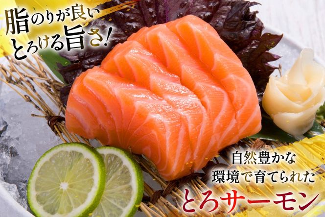 訳あり サーモン 刺身 とろサーモン 約200g×3パック 計600g [たみこの海パック 宮城県 南三陸町 m304amh560071] 魚 魚介類 海鮮 さしみ 生食 鮭 さけ トラウト ハラミ トロ 冷凍 小分け