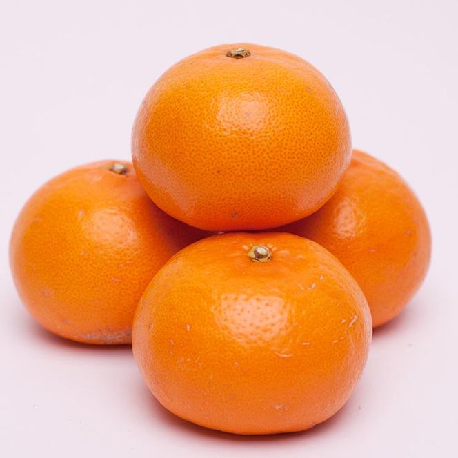 ＜2月より発送＞厳選 せとか5kg+250g（傷み補償分）◇｜柑橘・春みかんの王様【光センサー選果・食べ頃出荷】